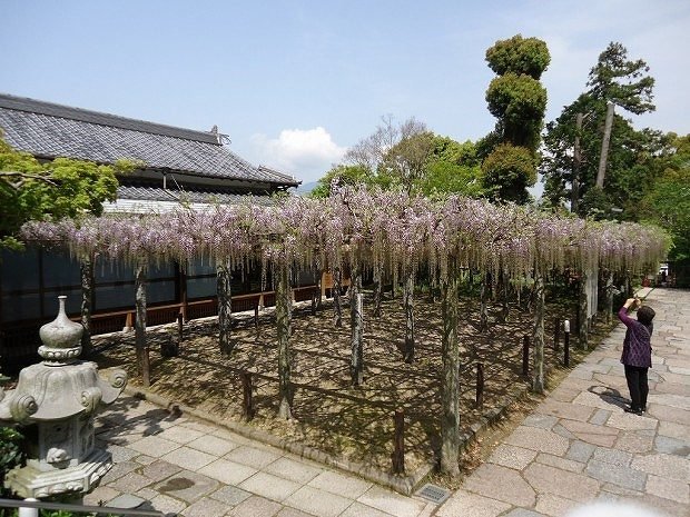 🏯 무사시 절(부조지) 이미지 8